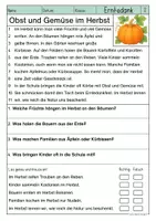 Vorschau - Arbeitsblätter - Lesen & Verstehen - Erntedank (Klasse 1-2) - Seite 2