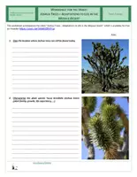 Vorschau - Arbeitsblätter - Ecology - Joshua Trees - Adaptations to Life in the Mojave Desert - Seite 1