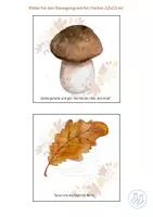 Vorschau - Spiele - Bilder für den Bewegungswürfel Herbst - Deckblatt