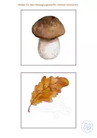 Vorschau - Spiele - Bilder für den Bewegungswürfel Herbst - Seite 3