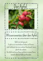 Vorschau - Präsentationen/Tafelbilder - Der Apfel - Wissenskarten - Seite 1