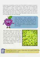 Vorschau - Arbeitsblätter - Grapes: Facts, Uses, History, and Cultivation - Seite 2