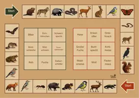 Vorschau - Stationenlernen - Waldtiere Bingo in Druck- und Grundschrift - Seite 1