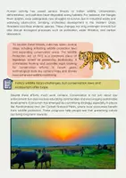 Vorschau - Arbeitsblätter - Indian Animals & Nature: Englischunterricht Klasse 8 - Seite 3