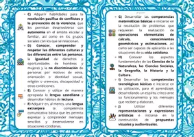 Vista previa - Para docentes: organización, planificación y formación - Flashcard artículos 4-5-6-7-8 Decreto 209/2022 - página 3