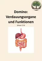 Vorschau - Spiele - Domino: Verdauungsorgane und Funktionen - Deckblatt