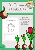 Vorschau - Arbeitsblätter - Tulpenjahr Frühblüher kostenlos - Deckblatt