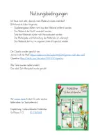 Vorschau - Arbeitsblätter - Tulpenjahr Frühblüher kostenlos - Seite 1