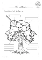 Vorschau - Arbeitsblätter - Bäume Baum Wald kostenlos - Seite 2