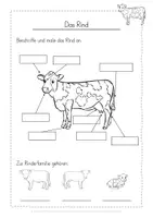 Vorschau - Arbeitsblätter - Tiere Bauernhof Rind kostenlos - Seite 2