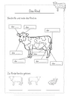 Vorschau - Arbeitsblätter - Tiere Bauernhof Rind kostenlos - Seite 3