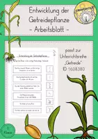 Vorschau - Arbeitsblätter - Getreide Entwicklung kostenlos - Deckblatt