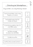 Vorschau - Arbeitsblätter - Getreide Entwicklung kostenlos - Seite 2