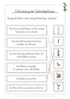 Vorschau - Arbeitsblätter - Getreide Entwicklung kostenlos - Seite 3