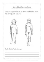 Vorschau - Arbeitsblätter - Veränderungen Pubertät kostenlos - Seite 2