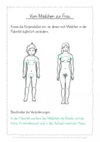 Vorschau - Arbeitsblätter - Veränderungen Pubertät kostenlos - Seite 3