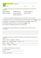 Vista previa - Evaluación - Examen tema 2 La nutrición - página 1