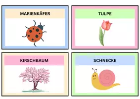 Vorschau - Fördermaterial/Inklusion - Wort- und Bildkarten: Sommer + Herbst + Winter + Fühling - Seite 3