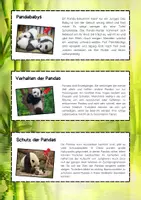 Vorschau - Mal- und Bastelvorlagen - Pandas Lesetexte zum Ausschneiden - Seite 2