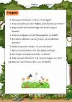 Vorschau - Bildkarten - Insekten im Wald Lesetexte: Ameisen, Bienen, Käfer, Schmetterlinge - Seite 3