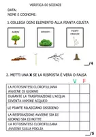 anteprima - Materiale di supporto/inclusione - Materiale sulle PIANTE - Pagina 2