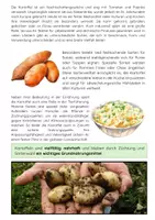 Vorschau - Arbeitsblätter - Der Kartoffelanbau: Landwirtschaft & Pflanzenanbau - Seite 2