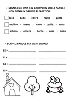 anteprima - Esercizi - PROVE DI INGRESSO ITALIANO, STORIA, GEOGRAFIA, MATEMATICA, SCIENZE, CLASSE TERZA (1) - Pagina 3