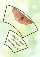 Vorschau - Präsentationen/Tafelbilder - Legekreis Apfel Vom Samen zur Frucht - Seite 2