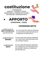 anteprima - Programmi scolastici / Materiali per docenti - Partita doppia - Costituzione impresa individuale 3 anno - Pagina 2