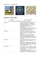 Vorschau - Merkblätter - Operatoren-Hilfe für das Fach Biologie - Deckblatt