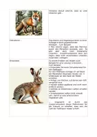 Vorschau - Merkblätter - Operatoren-Hilfe für das Fach Biologie - Seite 2