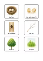 Vorschau - Fördermaterial/Inklusion - Eule- und Vogel-Wortschatzkarten - Seite 3