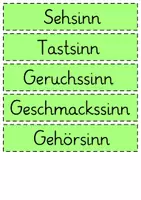 Vorschau - Präsentationen/Tafelbilder - Körper & Wahrnehmung / Die fünf Sinne: Aushänge (Visualisierung) - Sachunterricht - Kl. 3/4 - Seite 2