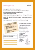 Vorschau - Arbeitsblätter - Leseförderung: Die Hagebutte- differenziert - Seite 2