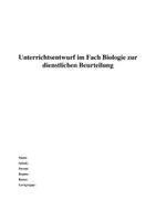 Vorschau - Unterrichtsreihen - Biologie Revisionsstunde - Aufbau von Gelenken 6. Klasse - Seite 1