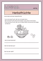 Vorschau - Arbeitsblätter - Logical: Herbstfrüchte- dreifach differenziert - Seite 2