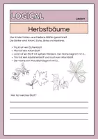 Vorschau - Arbeitsblätter - Logical: Bäume im Herbst- dreifach differenziert - Seite 1