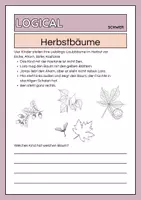 Vorschau - Arbeitsblätter - Logical: Bäume im Herbst- dreifach differenziert - Seite 3