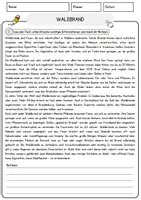 Vorschau - Arbeitsblätter - Waldbrand Arbeitsblätter mit Fragen + Lösungen Leseverstehen und Wortschatz - Seite 1