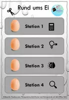 Vorschau - Stationenlernen - Stationenlernen mit Versuchen und Theorie: Rund um´s Ei - Seite 1