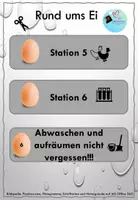 Vorschau - Stationenlernen - Stationenlernen mit Versuchen und Theorie: Rund um´s Ei - Seite 2