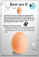 Vorschau - Stationenlernen - Stationenlernen mit Versuchen und Theorie: Rund um´s Ei - Seite 3