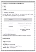 anteprima - Esercizi - Muschi e licheni (Raccolta) - Pagina 3