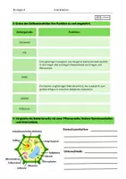 Vorschau - Arbeitsblätter - Bakterien: Aufbau und Eigenschaften - Seite 3