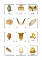 Vorschau - Arbeitsblätter - Materialpaket Eule 🦉🪺 - Seite 2