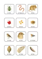 Vorschau - Spiele - Eulen- und Vogel-Gedächtnisspiel / Paarspiel / Merk es dir! - Seite 3