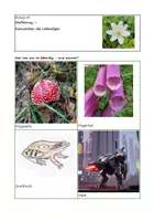 Vorschau - Arbeitsblätter - Einführung in die Biologie (EF/NRW) – Die Kennzeichen des Lebendigen - Seite 2