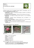 Vorschau - Arbeitsblätter - Einführung in die Biologie (EF/NRW) – Die Kennzeichen des Lebendigen - Seite 3
