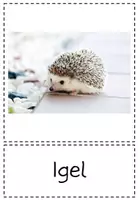 Vorschau - Präsentationen/Tafelbilder - Tiere - Tafelmaterial - Sachtexte schreiben - Seite 3