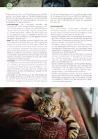 Vorschau - Stundenentwürfe - Tiere im Fokus. Naturfotografien als Zugang zu Tier-Mensch-Beziehungen - Seite 2
